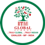 ITM Global School